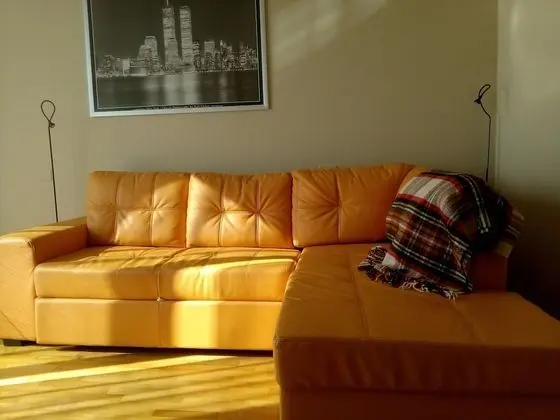 Basic Süit, Sigara İçilmez, Havuz Manzaralı