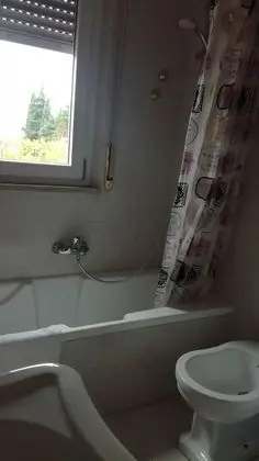 Basic Süit, Sigara İçilmez, Havuz Manzaralı
