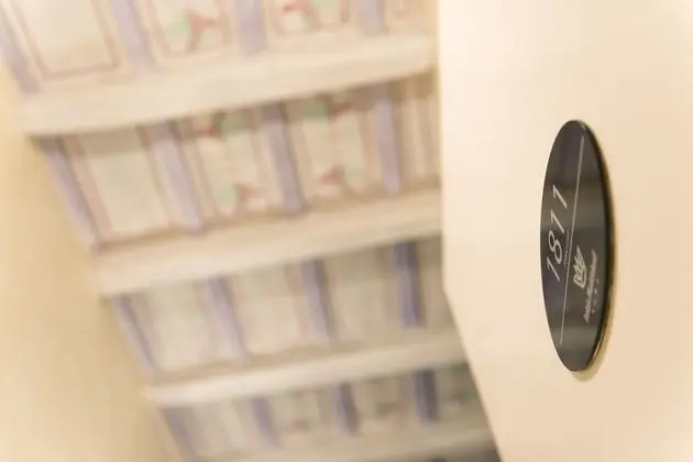 Superior Tek Büyük Yataklı Oda, 1 En Büyük (King) Boy Yatak, Banyolu/Duşlu, Şehir Manzaralı