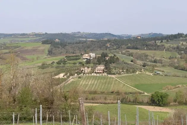 Superior Süit, 2 Yatak Odası, Üzüm Asması Manzaralı (Michelangelo)