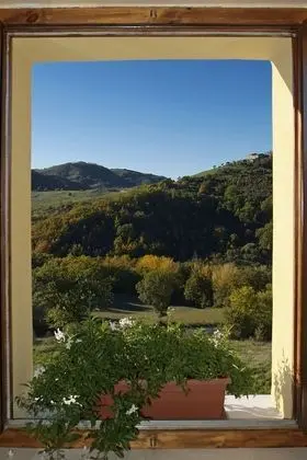 Economy Oda, Ek Bina