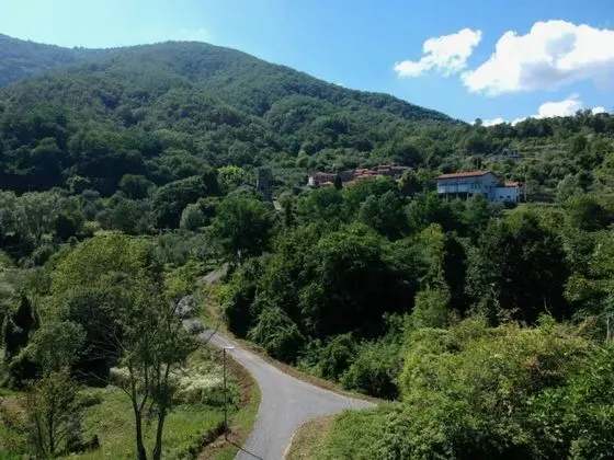 Luxury Süit (Alessandro)