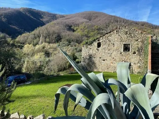 Luxury Süit (Alessandro)