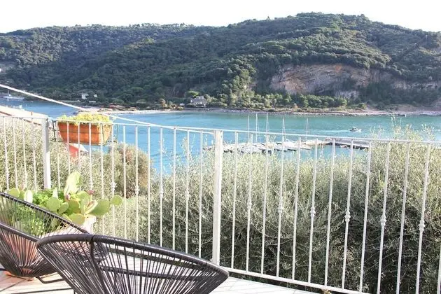 Deluxe Tek Büyük Yataklı Oda, 1 En Büyük (King) Boy Yatak, Balkon, Koy Manzaralı
