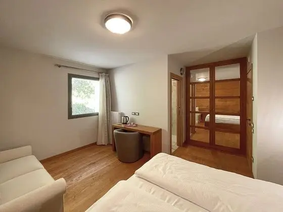 Standard Tek Büyük Yataklı Oda, 1 Büyük (Queen) Boy Yatak ve Çekyat, Engellilere Uygun