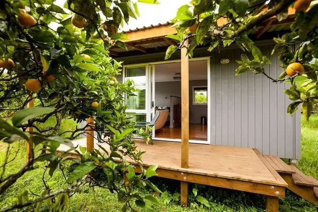 Standard Stüdyo, Sigara İçilmez, Mutfak (DoLittle Cottage)