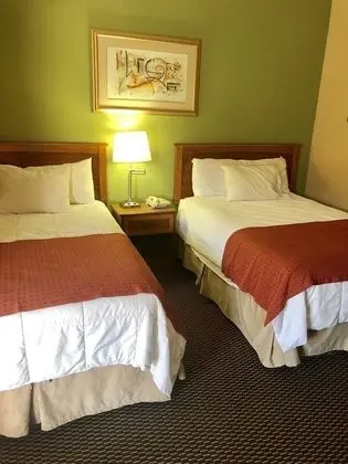 Basic Tek Büyük Yataklı Oda, 2 Çift Kişilik Yatak