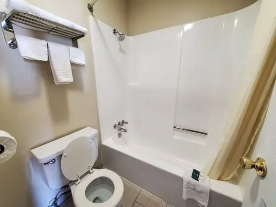 Comfort Ortak Ranzalı Oda, 1 En Büyük (King) Boy Yatak, Sigara İçilmez