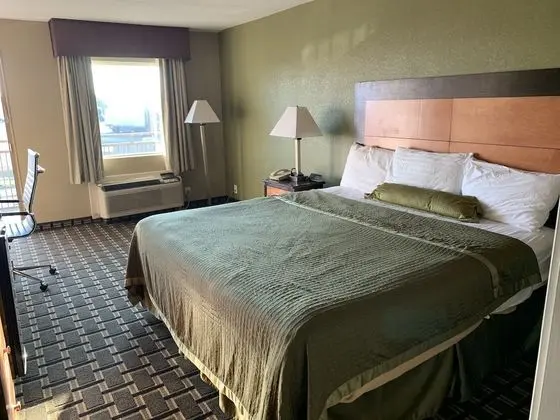 Standard Oda, 1 En Büyük (King) Boy Yatak, Sigara İçilmez