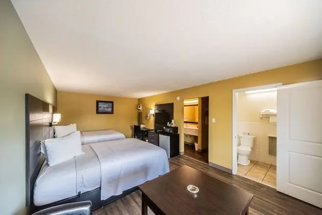 Deluxe Oda, 2 Büyük (Queen) Boy Yatak, Sigara İçilmez (Pet Friendly)