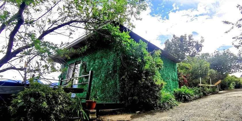 Classic Dört Kişilik Oda
