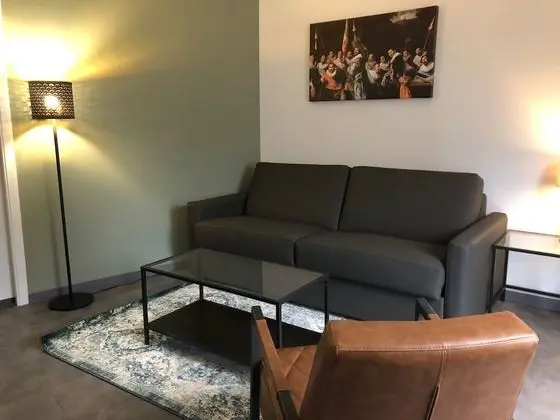 Deluxe Apart Daire, 1 Yatak Odası, Avlu (Frans Hals)