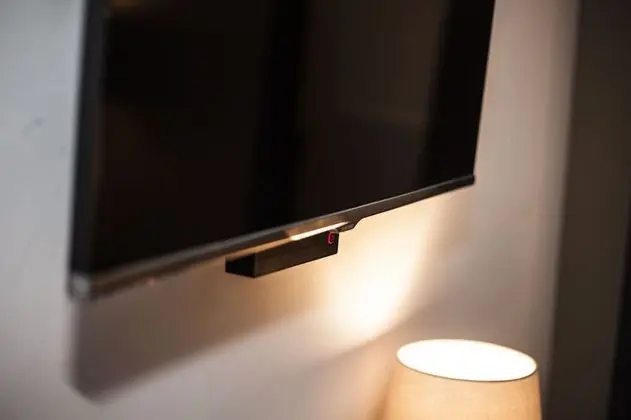 Deluxe Apart Daire, 1 Yatak Odası, Avlu (Frans Hals)