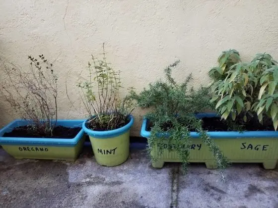 Ev, Birden Çok Yatak