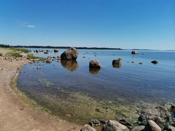 Stüdyo, Birden Çok Yatak