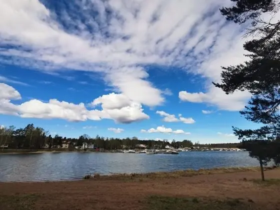 Stüdyo, Birden Çok Yatak