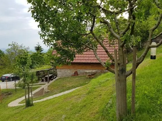 Classic Kır Evi