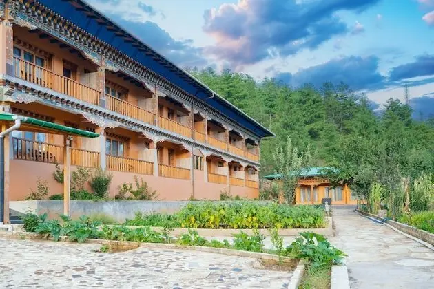 Oda