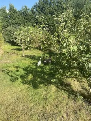 Kır Evi, 1 Büyük (Queen) Boy Yatak