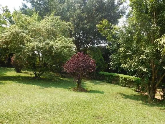 Kır Evi, Birden Çok Yatak
