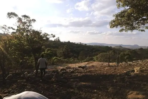 Kır Evi, Birden Çok Yatak