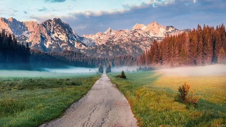 Ev, Birden Çok Yatak