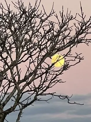 Ev, Birden Çok Yatak