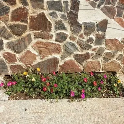 Ev, Birden Çok Yatak