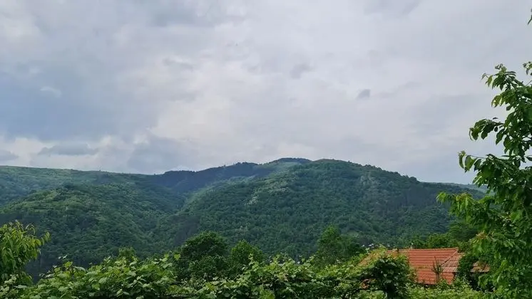 Ev, Birden Çok Yatak