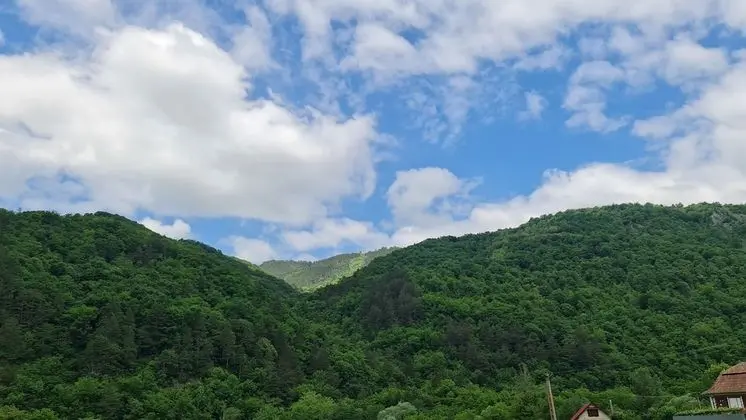 Ev, Birden Çok Yatak