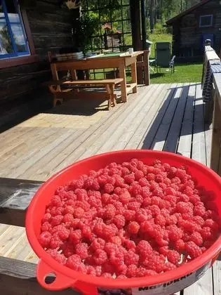 Kulübe, Birden Çok Yatak