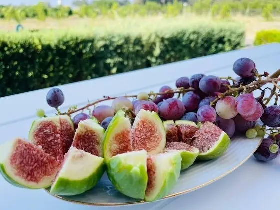 Villa, Birden Çok Yatak