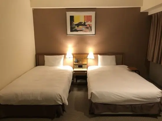 Deluxe İki Ayrı Yataklı Oda, Sigara İçilmez
