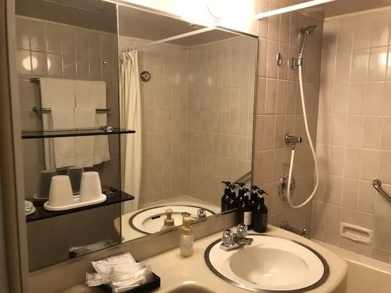 Deluxe İki Ayrı Yataklı Oda, Sigara İçilmez