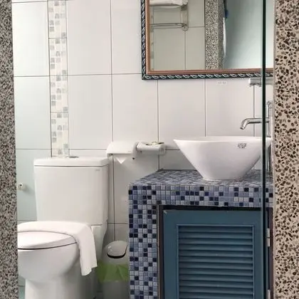 Standard Tek Büyük Yataklı Oda, 1 Çift Kişilik Yatak, Sigara İçilmez