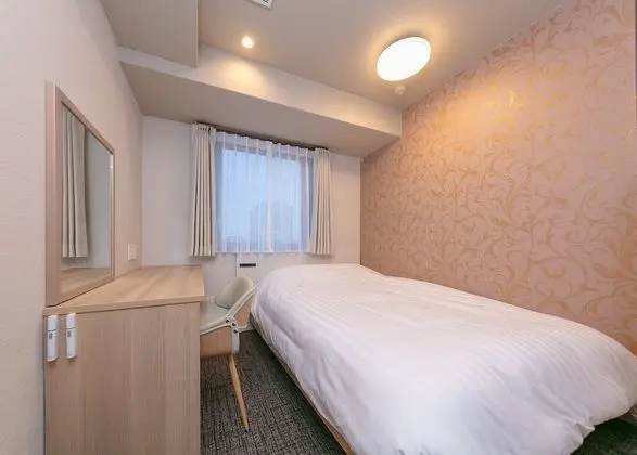 Superior Tek Büyük Yataklı Oda, 1 Çift Kişilik Yatak, Sigara İçilmez