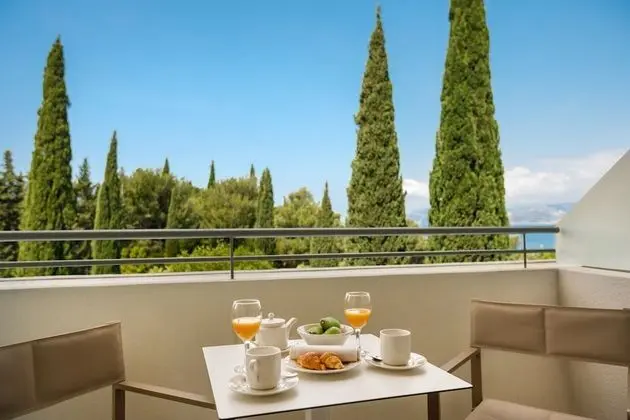 Standard İki Ayrı Yataklı Oda, Balkon, Park Manzaralı