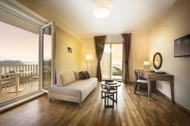 Standard Tek Büyük Yataklı Oda, Balkon, Park Manzaralı (Extra bed)