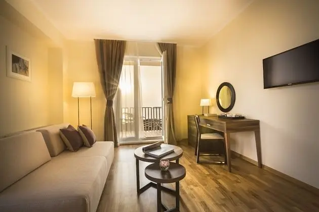 Standard Tek Büyük Yataklı Oda, Balkon, Park Manzaralı (Extra bed)