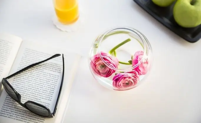 Standard Tek Büyük Yataklı Oda, Balkon, Park Manzaralı (Extra bed)