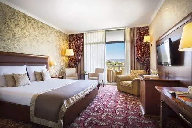Standard Tek Büyük veya İki Ayrı Yataklı Oda, Balkon, Park Manzaralı