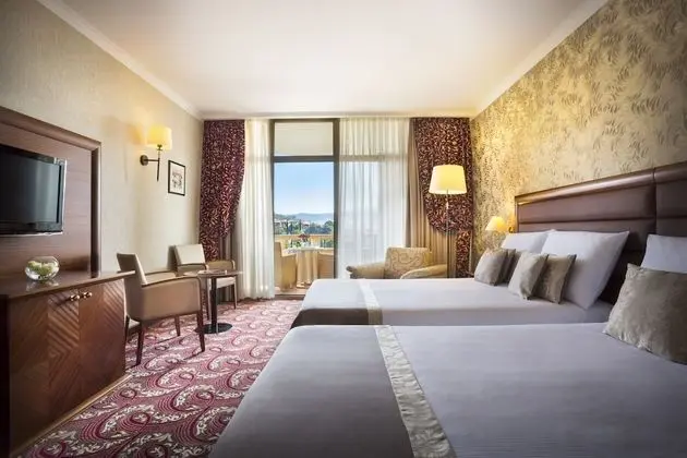 Standard Tek Büyük veya İki Ayrı Yataklı Oda, Balkon, Park Manzaralı