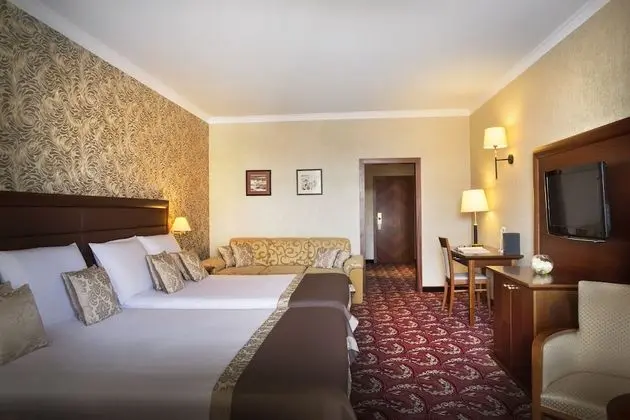 Standard Tek Büyük veya İki Ayrı Yataklı Oda, Balkon, Park Manzaralı