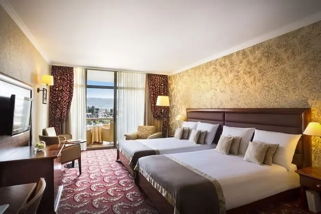 Standard Tek Büyük veya İki Ayrı Yataklı Oda, Balkon, Park Manzaralı