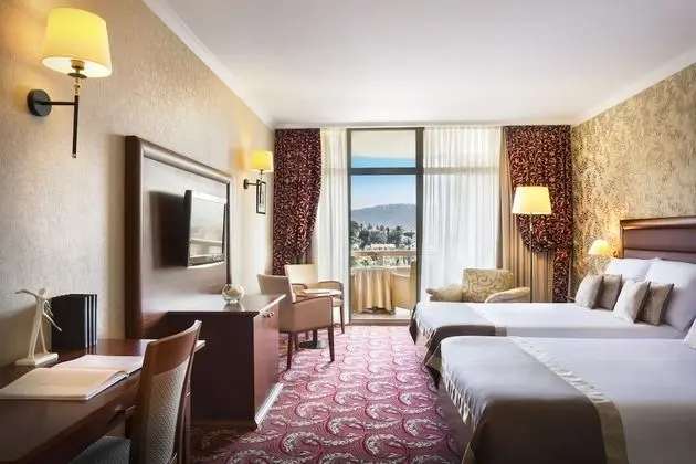 Standard Tek Büyük veya İki Ayrı Yataklı Oda, Balkon, Park Manzaralı