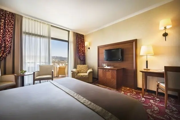 Standard Tek Büyük veya İki Ayrı Yataklı Oda, Balkon, Park Manzaralı