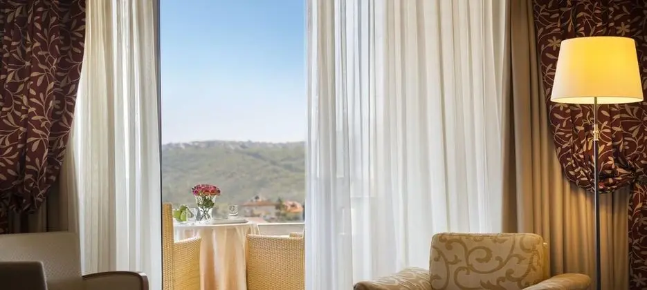 Standard Tek Büyük veya İki Ayrı Yataklı Oda, Balkon, Park Manzaralı