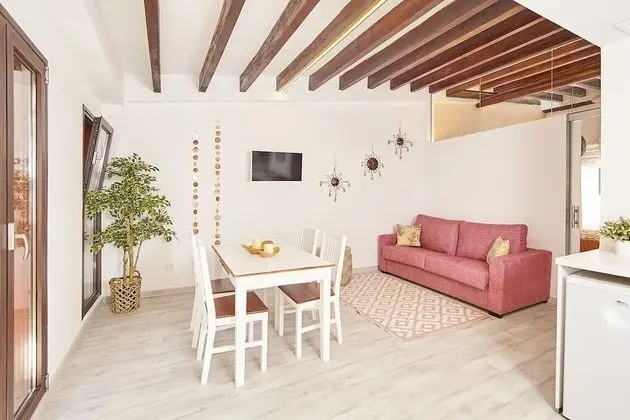 Apart Daire, 1 Yatak Odası (Apartment Mallorca)