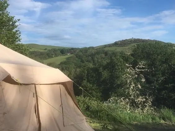 Kulübe, Birden Çok Yatak