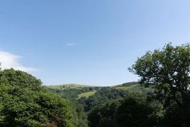Kulübe, Birden Çok Yatak